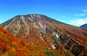 nantaisannosaboukouji002