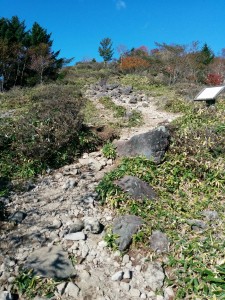 img_20161015_1007161