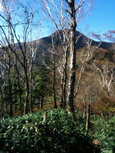 img_20161015_1040121