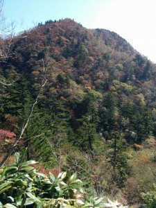 img_20161015_1046381