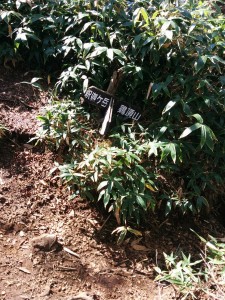 img_20161015_1149211