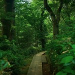 百名山読みにくい山名ベスト7読めなかった山名の意味とは?