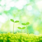 携帯ラジオは震災用具の重要アイテム?改めて備えなければ行けない道具ではないかと!