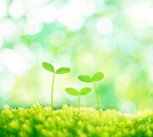 携帯ラジオは震災用具の重要アイテム?改めて備えなければ行けない道具ではないかと!