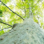 登山用タイツって2種類つかってるんですよ!多分効果的?