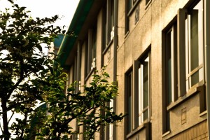 大学無償化って実現するのか？日本は教育熱心な国なの？