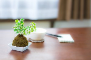 ヘビーローテーションは白シャツを基本に！クールビズもシンプル簡単に！