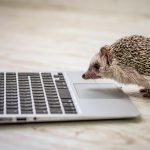 富士通FMV LIFEBOOKをWindow7→10アップグレード3回失敗!原因は?