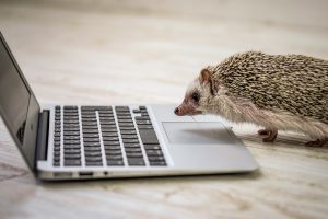 富士通FMV LIFEBOOKをWindow7→10アップグレード3回失敗！原因は？